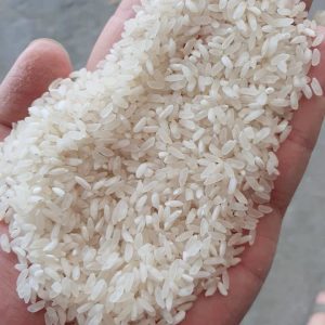 Gạo Khang Dân